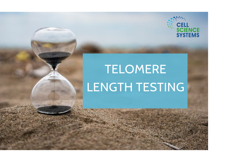Telomere Length Testing